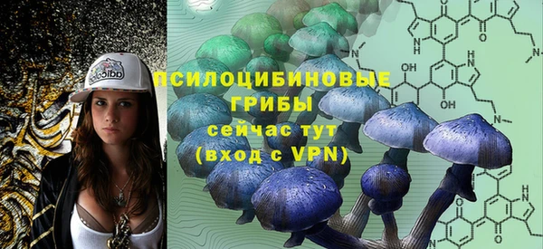 метадон Арсеньев